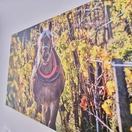 Chez Patisa - Business And Tourism - Rbnb * Guebwiller