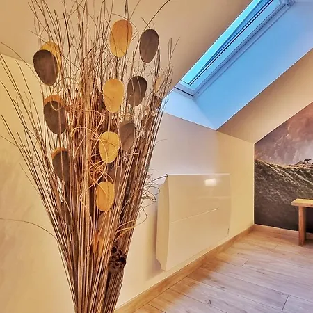 Apartamento Chez Patisa - Business And Tourism - Rbnb Guebwiller