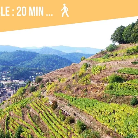 Apartamento Chez Patisa - Business And Tourism - Rbnb *